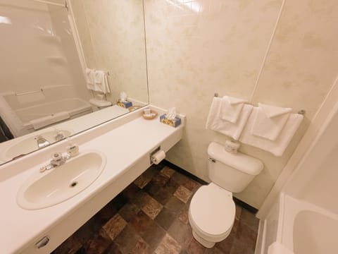 Combined shower/tub, free toiletries, hair dryer, towels