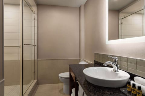 Executive Room, 1 King Bed, Non Smoking (Shower Only;Larger Room) | Bathroom | Eco-friendly toiletries, hair dryer, towels