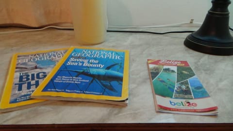 Comfort Double Room, 1 Bedroom, Ensuite, Ground Floor | 1 bedroom, individually decorated, individually furnished, desk