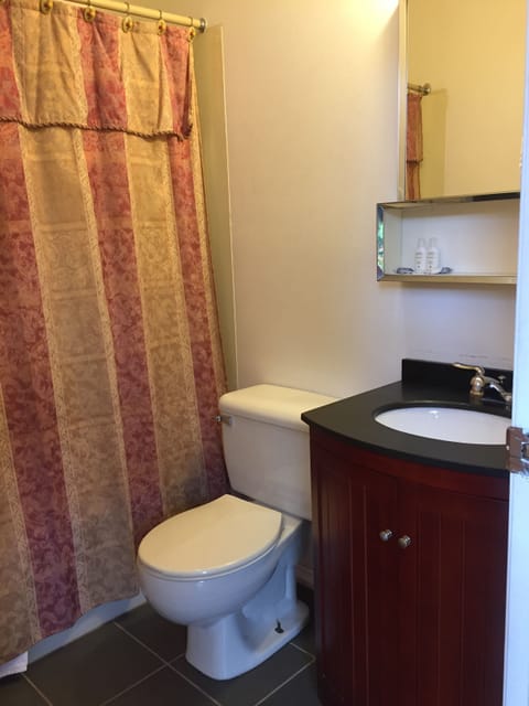 Combined shower/tub, deep soaking tub, free toiletries, hair dryer