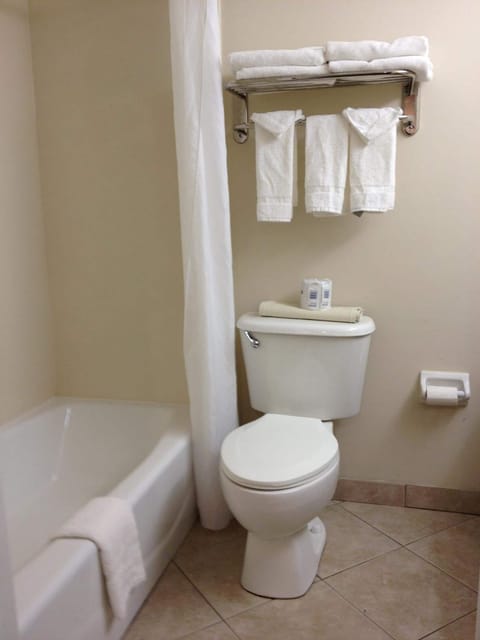 Combined shower/tub, free toiletries, hair dryer, towels