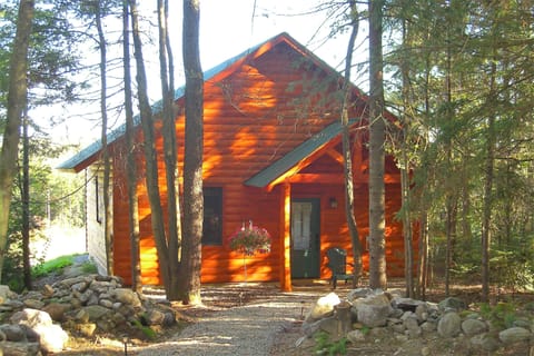 Cabin 1 (Pet Free) - Peak Perspective  | Pillowtop beds, individually decorated, individually furnished