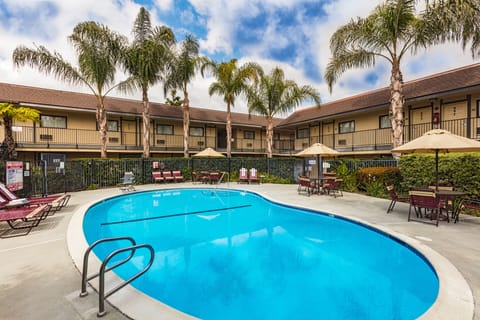 Outdoor pool, pool umbrellas, sun loungers