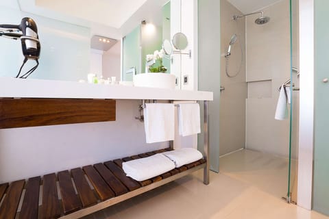 Shower, hydromassage showerhead, eco-friendly toiletries, hair dryer