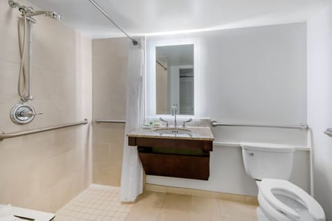 Standard Room, 1 King Bed, Roll-in Shower (Mobility, Roll-In Shower) | Bathroom | Free toiletries, hair dryer, towels