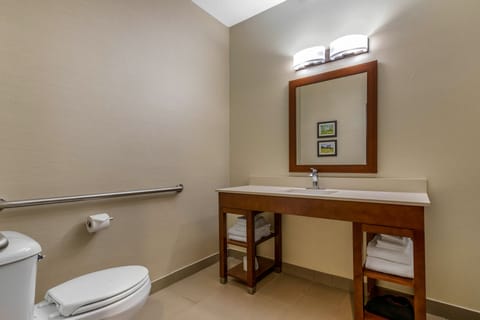 Suite, 1 King Bed with Sofa bed, Accessible, Non Smoking | Bathroom | Combined shower/tub, hair dryer, towels