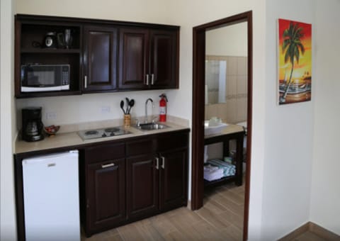 Standard Studio Suite, 1 King Bed, Beach View, Beachfront | Private kitchenette | Fridge, microwave, coffee/tea maker