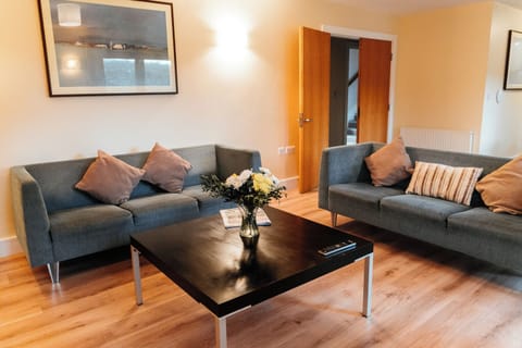 Three-Bedroom Apartment (Stairs Access Only) | Living area | TV