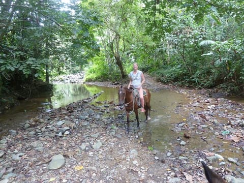 Horseback riding