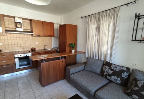 Deluxe Apartment, 1 Bedroom | Private kitchen | Fridge, stovetop, electric kettle, cookware/dishes/utensils