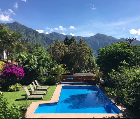 Outdoor pool, sun loungers