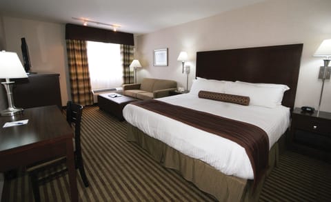 Executive Room | Blackout drapes, iron/ironing board, free WiFi, bed sheets