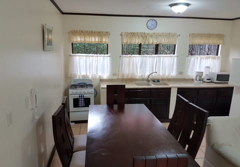 Equipped Apartment | Private kitchen | Fridge, microwave, electric kettle, blender