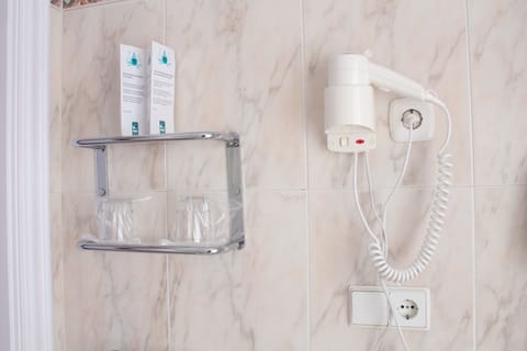 Combined shower/tub, free toiletries, hair dryer, bidet