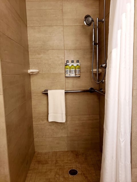 Standard Room, 1 King Bed, Accessible (Roll-In Shower) | Bathroom | Combined shower/tub, free toiletries, hair dryer, towels