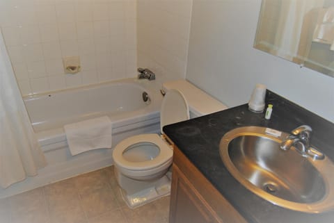 Combined shower/tub, free toiletries, towels