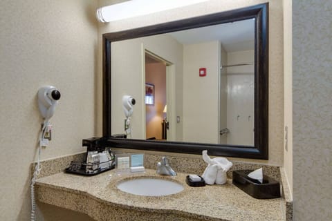 Room, 1 King Bed, Accessible | Bathroom | Combined shower/tub, deep soaking tub, hydromassage showerhead