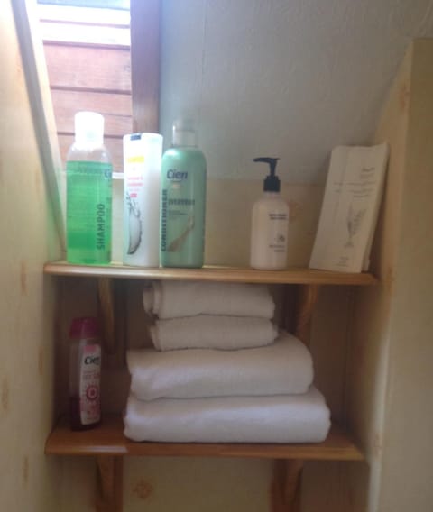 Shower, free toiletries, hair dryer, towels