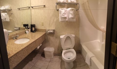 Combined shower/tub, free toiletries, hair dryer, towels