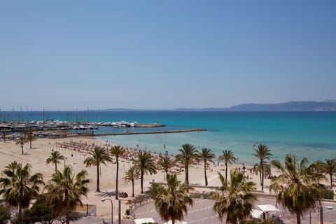 On the beach, white sand