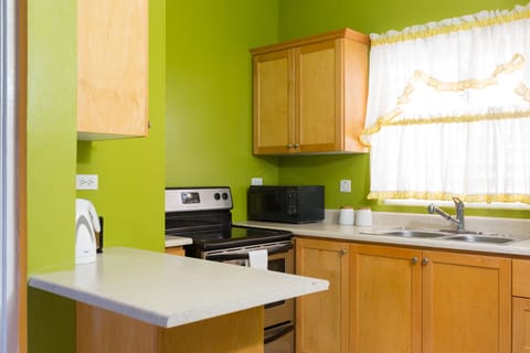 Apartment, 1 Bedroom, Kitchen, Mountain View | Private kitchen | Full-size fridge, microwave, oven, stovetop