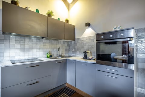 Premium Apartment, 1 Bedroom, Kitchenette | Private kitchen