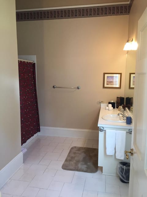 Combined shower/tub, free toiletries, hair dryer, towels