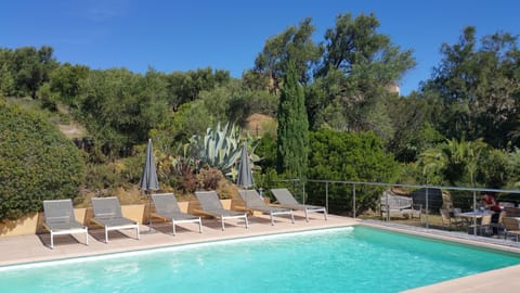 Outdoor pool, sun loungers