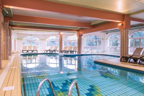 Indoor pool, sun loungers