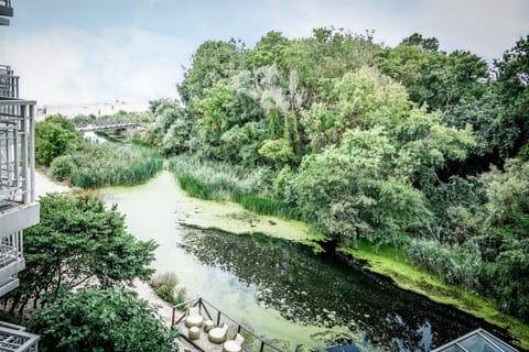 Double Room, River Side | View from room