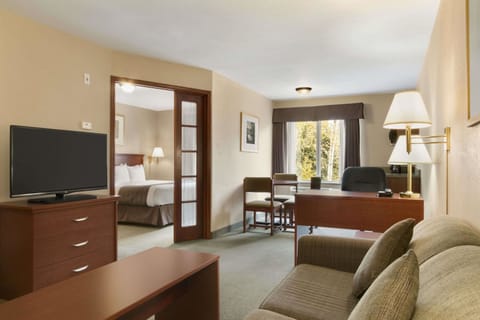 Suite, 1 King Bed, Non Smoking | Blackout drapes, iron/ironing board, rollaway beds, free WiFi