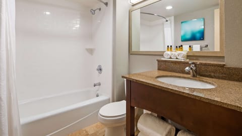 Combined shower/tub, free toiletries, hair dryer, towels