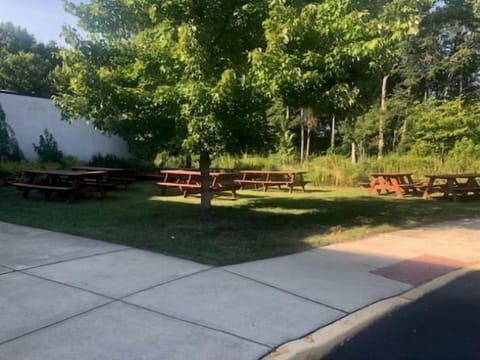 BBQ/picnic area