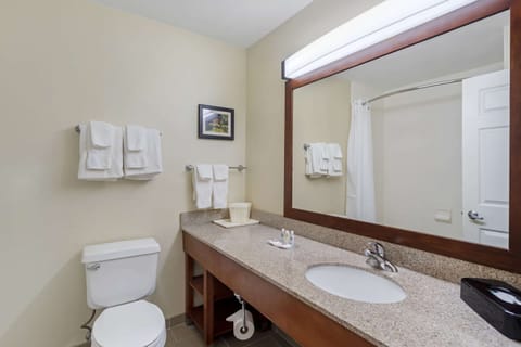 Combined shower/tub, free toiletries, hair dryer, towels