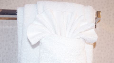 Combined shower/tub, free toiletries, hair dryer, towels