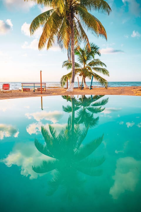 2 outdoor pools, sun loungers