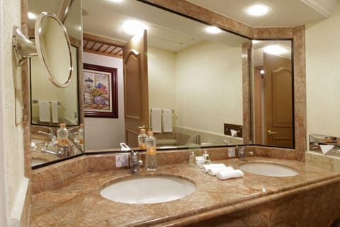 Hydromassage showerhead, hair dryer, towels