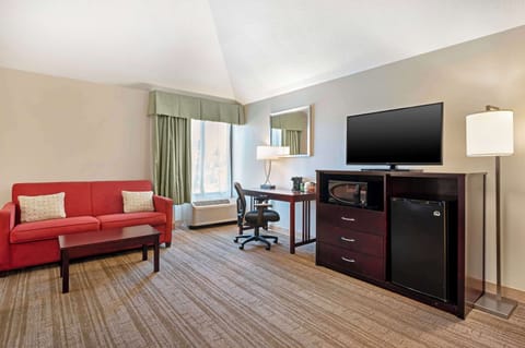 Standard Room, 1 King Bed, Non Smoking, Refrigerator & Microwave (Larger Room;with Sofabed) | Desk, laptop workspace, blackout drapes, iron/ironing board