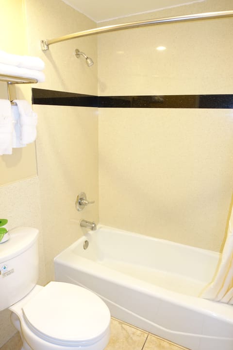 Standard Double Room, 1 Bedroom, Refrigerator & Microwave | Bathroom | Combined shower/tub, towels