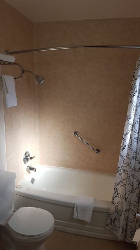 Combined shower/tub, free toiletries, towels