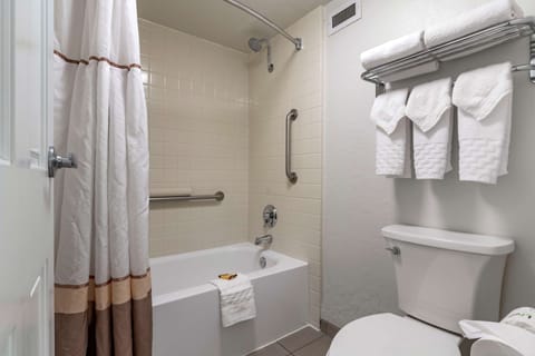 Combined shower/tub, free toiletries, hair dryer, towels