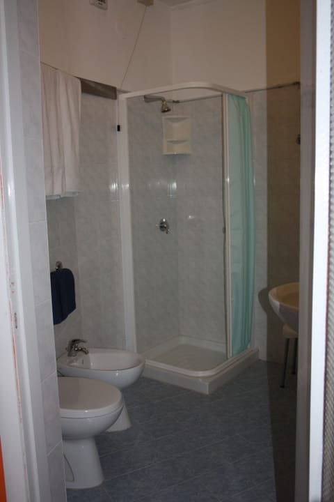 Single Room | Bathroom | Shower, hair dryer