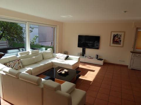 Deluxe Apartment, 1 Bedroom, Kitchen, Courtyard View | Living area | 50-inch flat-screen TV with cable channels, TV, Netflix