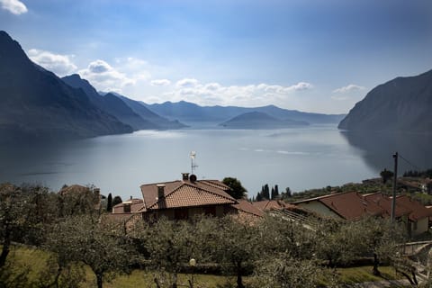Double Room, Lake View | View from room