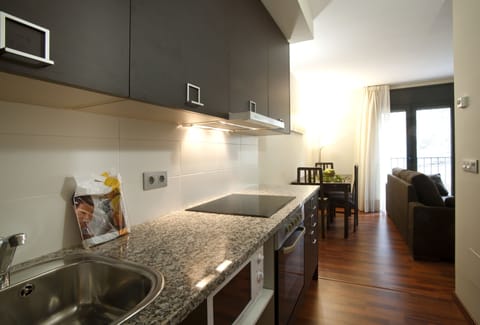 Standard Studio | Private kitchen | Fridge, microwave, oven, stovetop