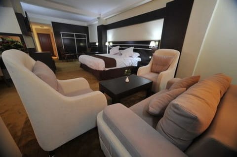 Executive Room | Living area | Plasma TV