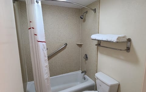 Combined shower/tub, free toiletries, hair dryer, towels