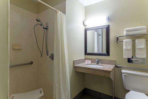 Room, 1 Queen Bed, Accessible, Smoking (Mobility) | Bathroom shower