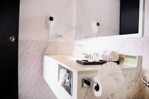 Executive Room | Bathroom | Free toiletries, hair dryer, towels