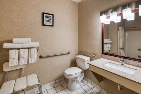 Room, 1 King Bed, Accessible, Non Smoking | Bathroom | Combined shower/tub, hair dryer, towels